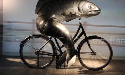 Featured image of post 陌上花开7456 女人需要男人就像鱼需要自行车