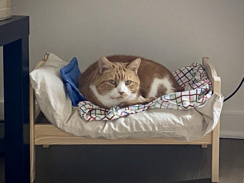 Featured image of post 2021年10月总结