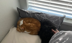 Featured image of post 当你发现还有半小时就是男朋友的生日而你什么都没有准备此时你想起你还有一个公众号