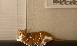 Featured image of post 我的内衣