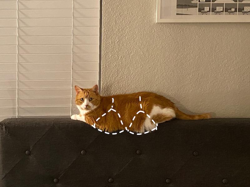 Featured image of post 我的内衣