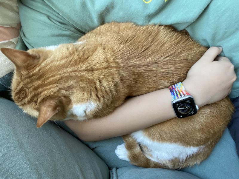 Featured image of post 2022年终总结