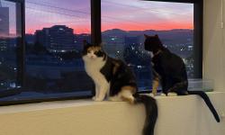 Featured image of post 2024年终总结