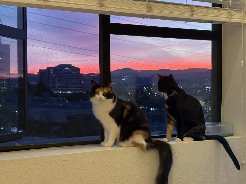 Featured image of post 2024年终总结