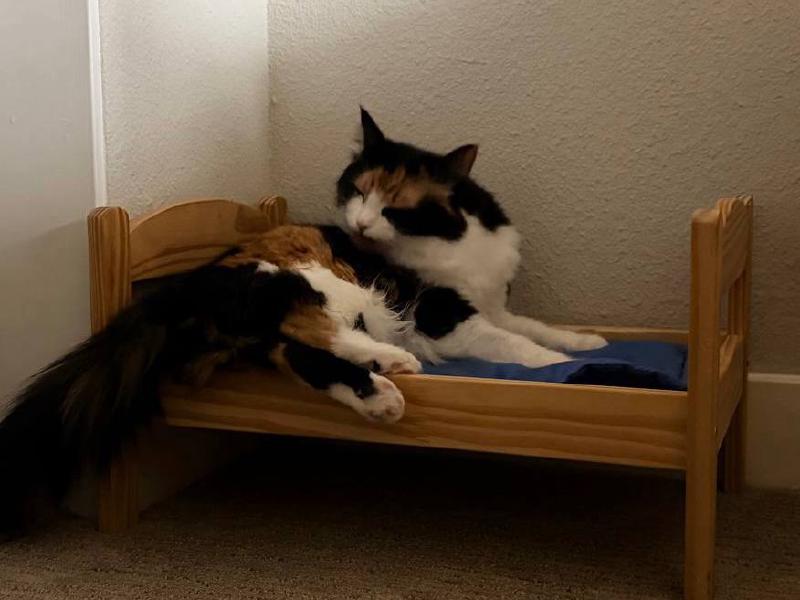 Featured image of post 回家