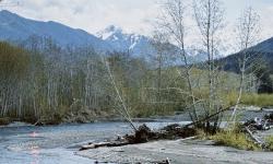 Featured image of post 爱情的地震