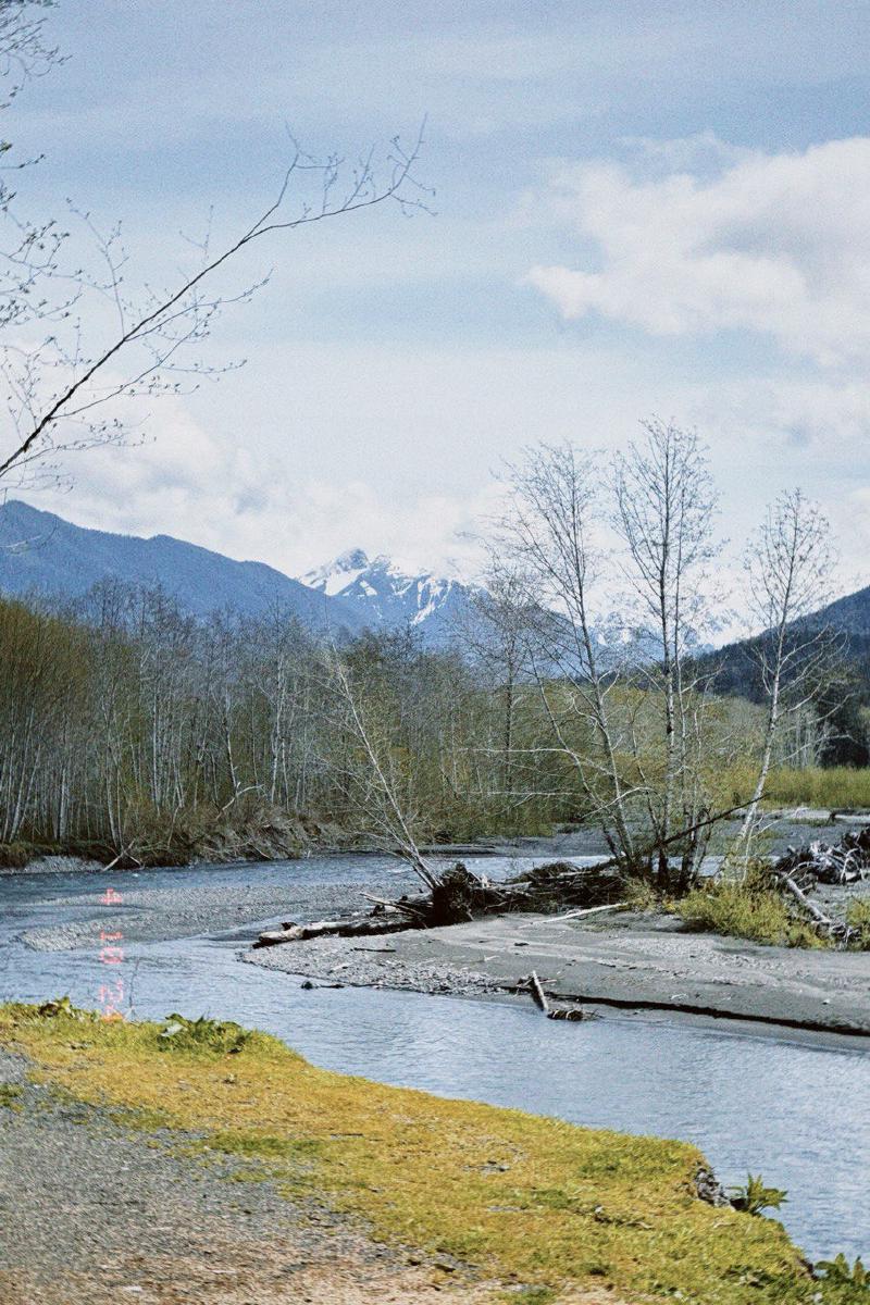 Featured image of post 爱情的地震