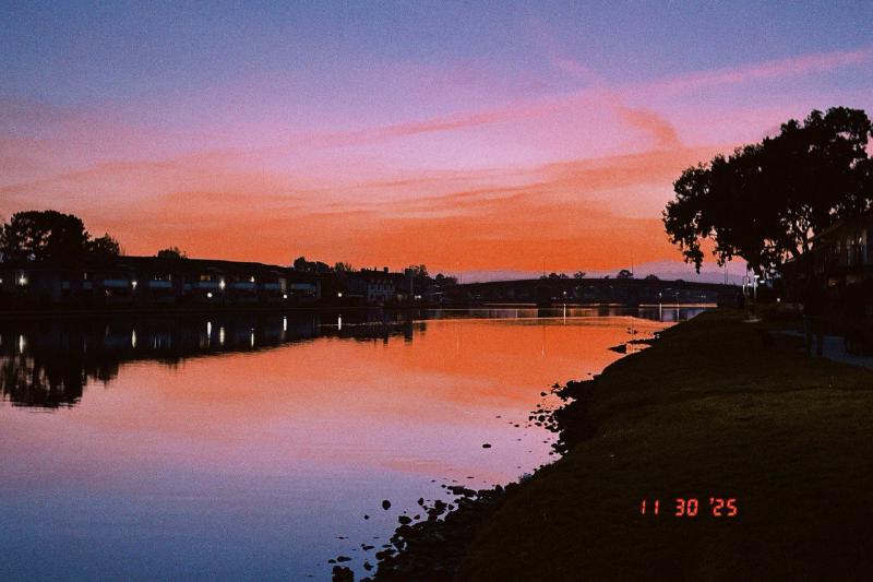 Featured image of post 2025年终总结